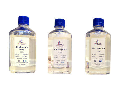 Buffers and Reagents